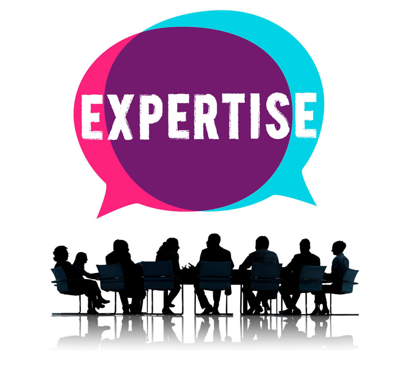 WordPress SEO Experts and Specialist Mumbai India